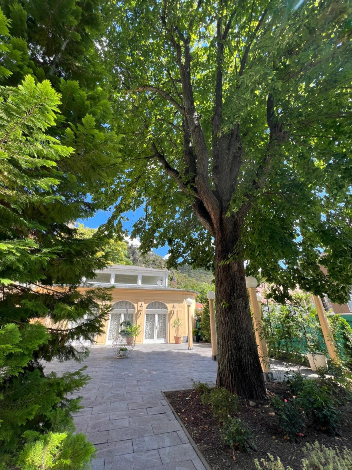 Wienerwald Residenz 巴登 外观 照片